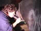 a baby sucks the cock of horse and touches her vagina